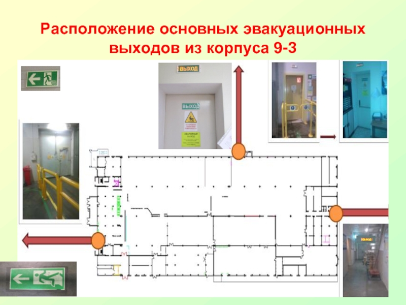 Расположение основных. Основных эвакуационных проходов в торговом зале. Основных эвакуационных проходов в. Ширина основных эвакуационных проходов в торговом зале. Расположение запасных выходов.