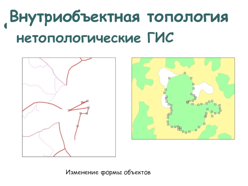 Топология объектов Изменение формы объектов Внутриобъектная топология 
  нетопологические ГИС