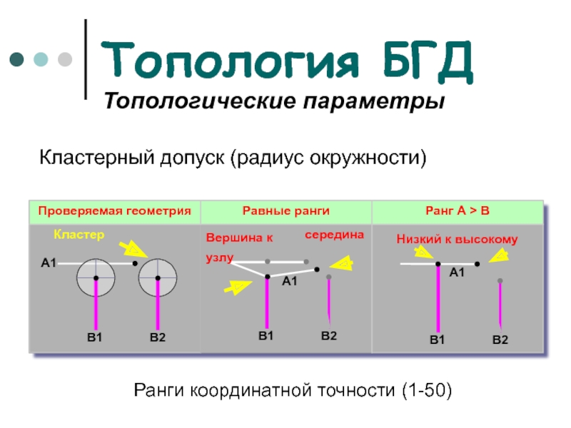 Топология БГД Топологические параметры    Кластерный допуск (радиус окружности)