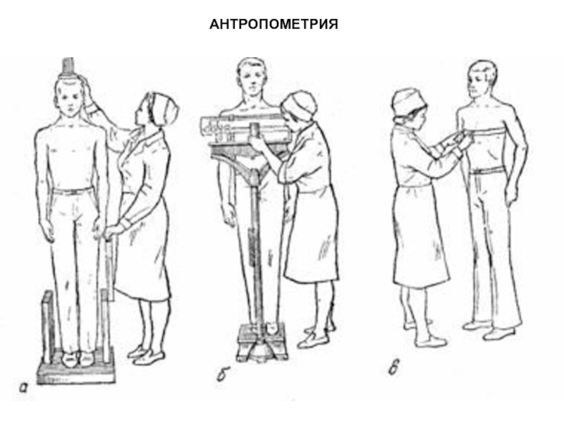 Схема структура антропометрии