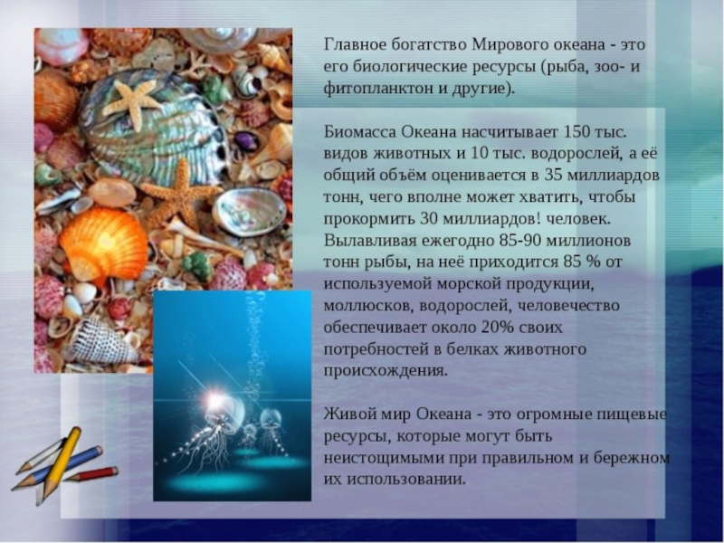 Виды деятельности человека в океане. Богатства мирового океана. Главное богатство мирового океана. Роль мирового океана в жизни. Роль океана для человечества.