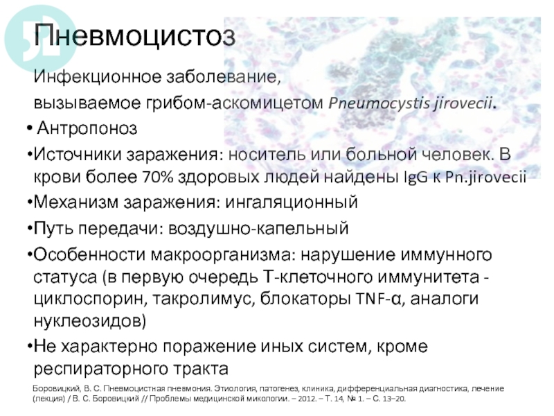 Пневмоцистоз клиническая картина