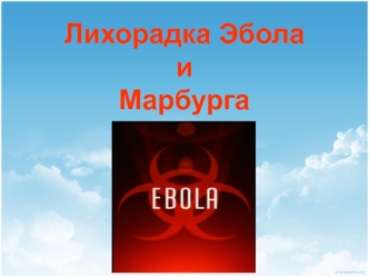 Лихорадка Эбола и Марбурга