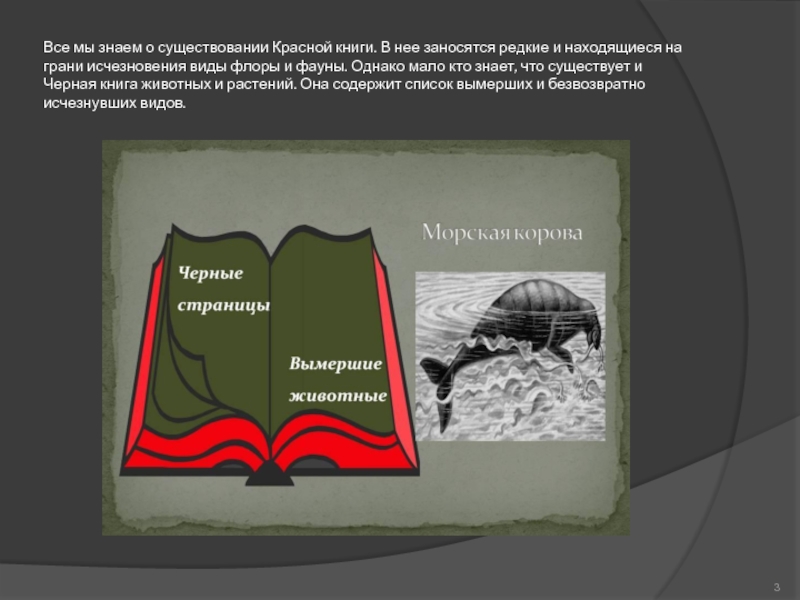 Красная и черная книга россии презентация