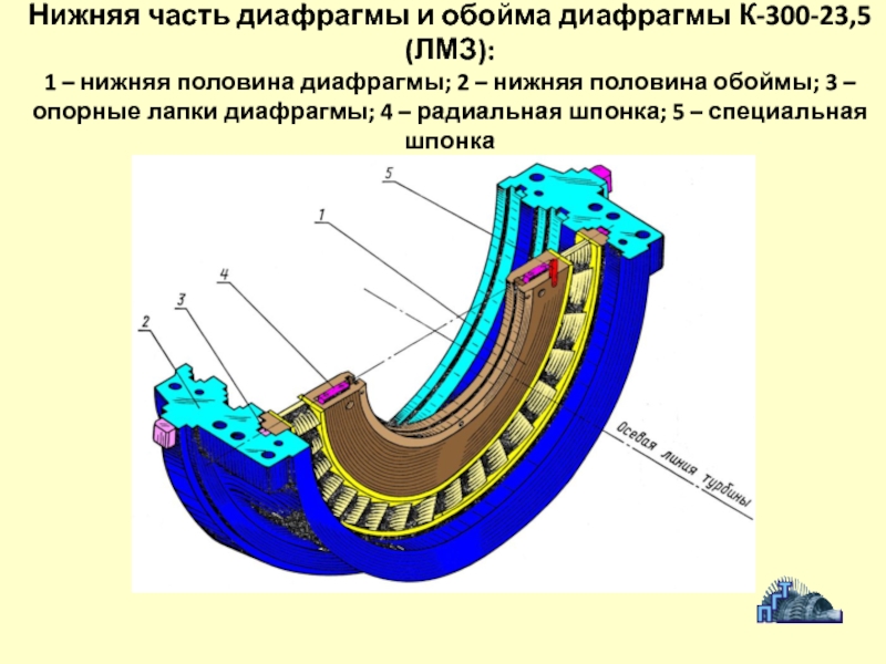 Нижняя половина. Диафрагменные уплотнения паровых турбин. Обойма паровой турбины. Диафрагмы паровых турбин. ЦВД диафрагмы.