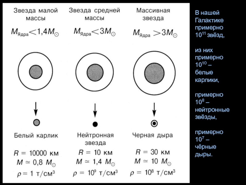 Презентация белые карлики нейтронные звезды и черные дыры