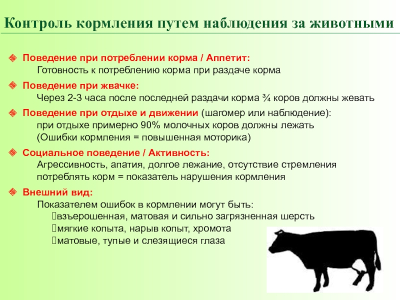 Основные группы кормов. Презентация кормление животных. График кормления животных. Кормление коров. График кормления сельскохозяйственных животных.