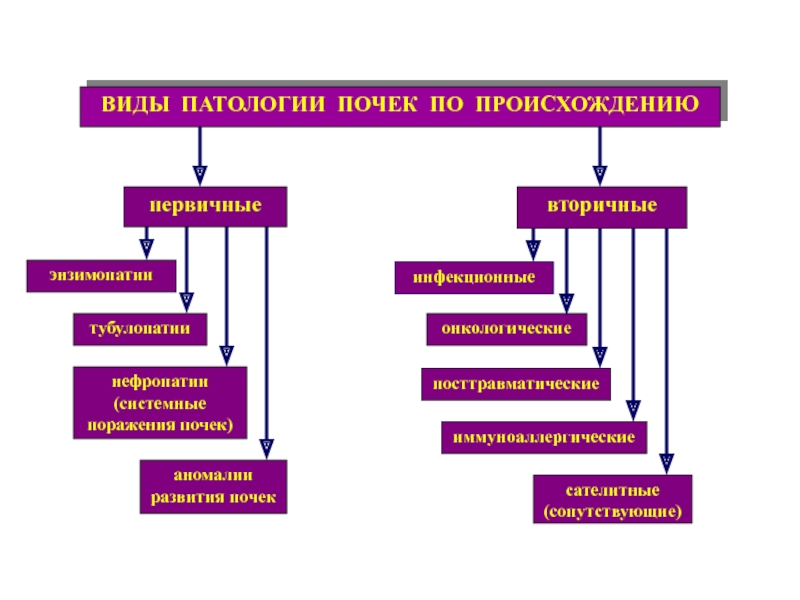 Виды патологий. Типы патологии.