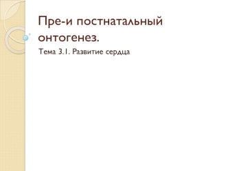 Пре-и постнатальный онтогенез. Развитие сердца