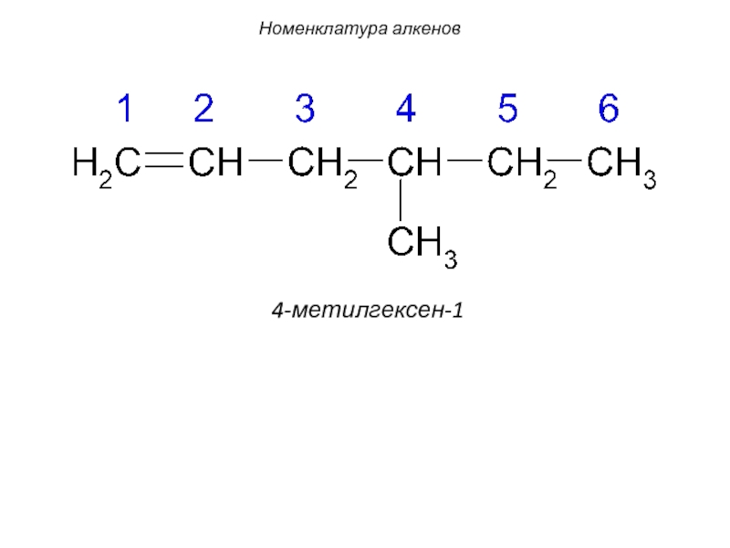 Номенклатура алкенов. 2 Метилгексен 1 структурная формула. Метилгексен 1 структурная формула. 3 Метилгексен 1 структурная формула. Рациональная номенклатура 3 метилгексен.