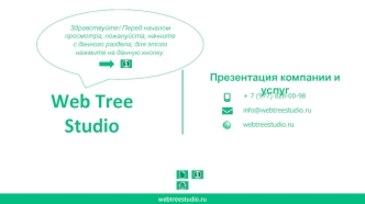 Компания и услуги Web Tree Studio