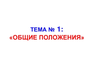 Правила дорожного движения. Общие положения