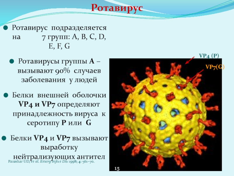 Вспышка ротавируса 2024