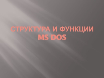 Структура и функции MS DOS