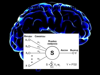 Искусственные нейронные сети