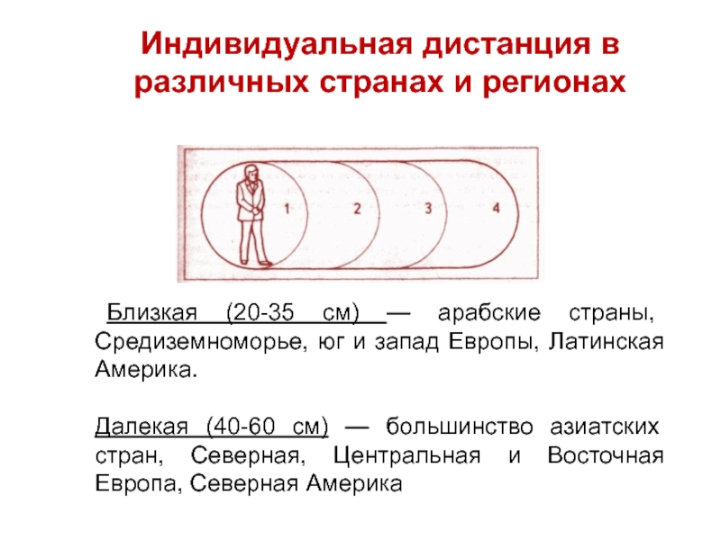    Близкая (20-35 см) — арабские страны, Средиземноморье, юг и запад