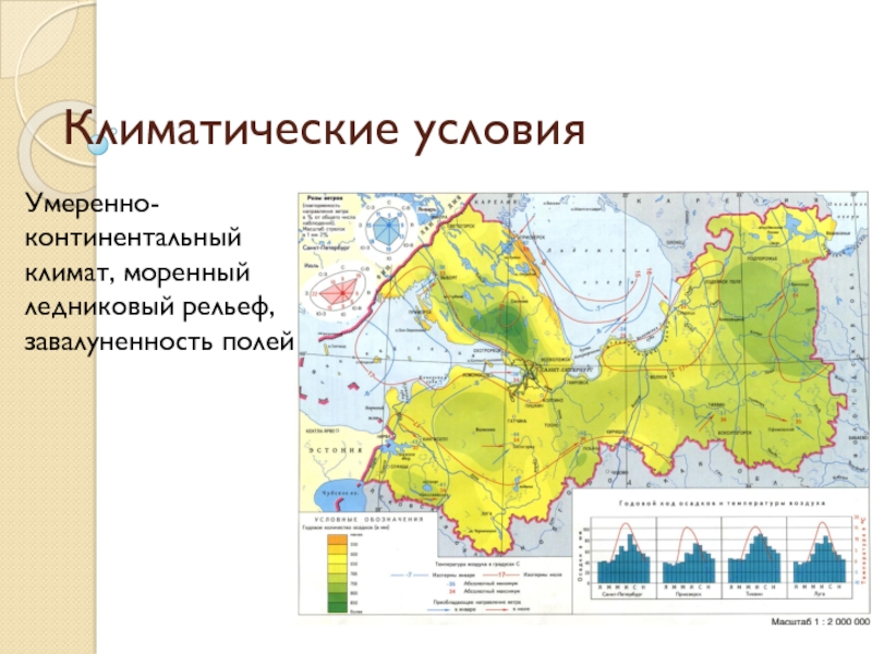 Умеренно континентальный на карте. Климатическая карта Ленобласти. Северо-Западный федеральный округ климатическая карта. Климат Северо Западного района. Северо-Западный экономический район климат.