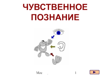 Чувственное познание. Ощущения, восприятие, представление