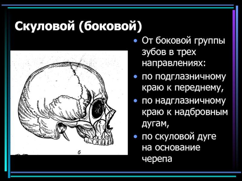 Крыша мозгового черепа