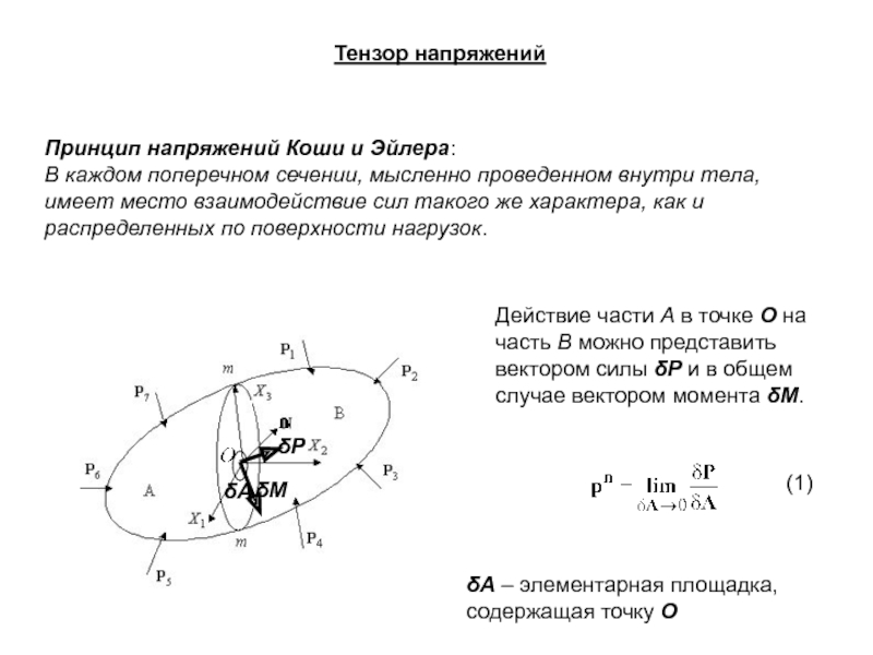 Принцип напряжений. Формула Коши для напряжений. Тензор напряжений Коши. Принцип напряжения Коши. Напряжение принцип.