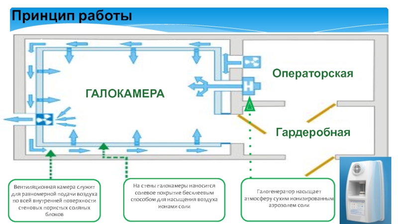 Бизнес план открытия соляной пещеры