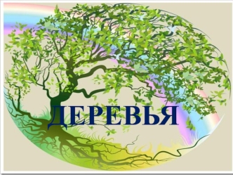 Деревья. Строение дерева