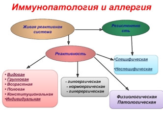 Иммунопатология и аллергия