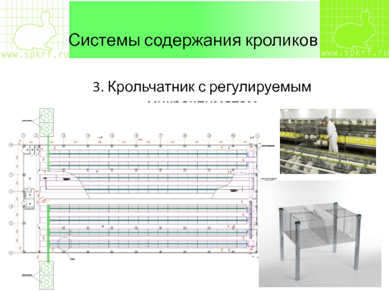 Система содержания