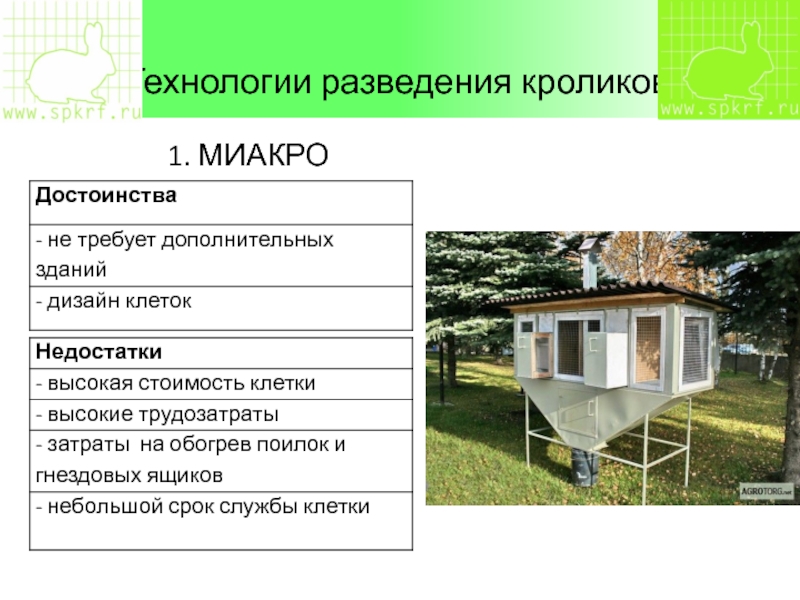 Бизнес план по разведению кроликов