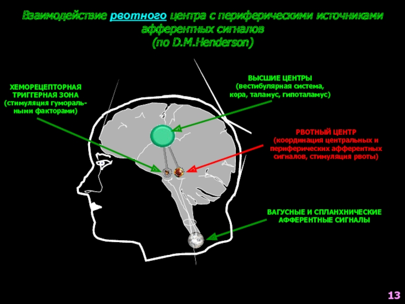 Рвотный рефлекс мозг. Триггерная зона рвотного центра. Рвотный центр мозга. Рвотный центр в головном мозге расположен.