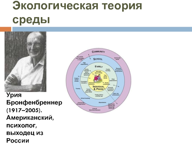 Лев маркович веккер презентация