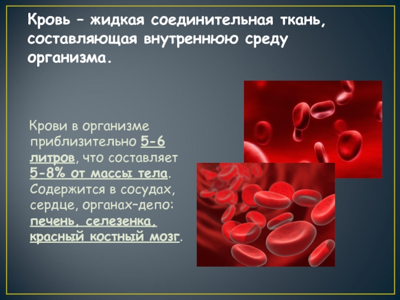 Почему нравится кровь. Кровь жидкая соединительная ткань. Соединительная ткань в организме. Причина жидкой крови у человека.