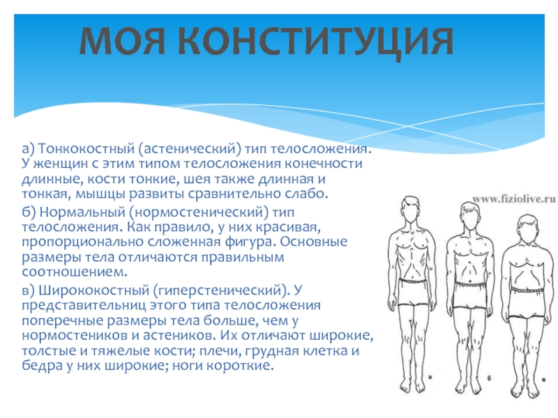 Что такое телосложение. Типы Конституции тела человека нормостеник. Конституция астеник. Конституция тела человека астеник. Типы Конституции людей астеник.