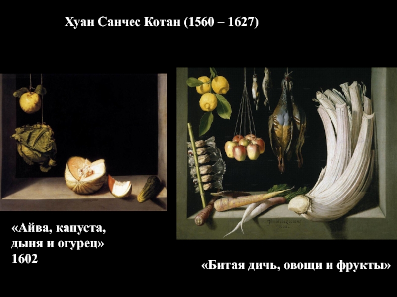 Хуан Санчес Котан (1560 – 1627)«Айва, капуста, дыня и огурец»1602«Битая дичь, овощи и фрукты»
