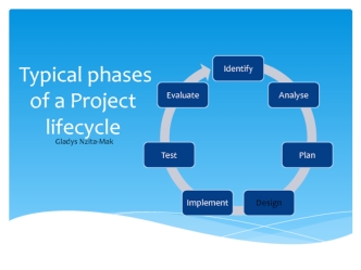 Typical phases of a Project lifecycle