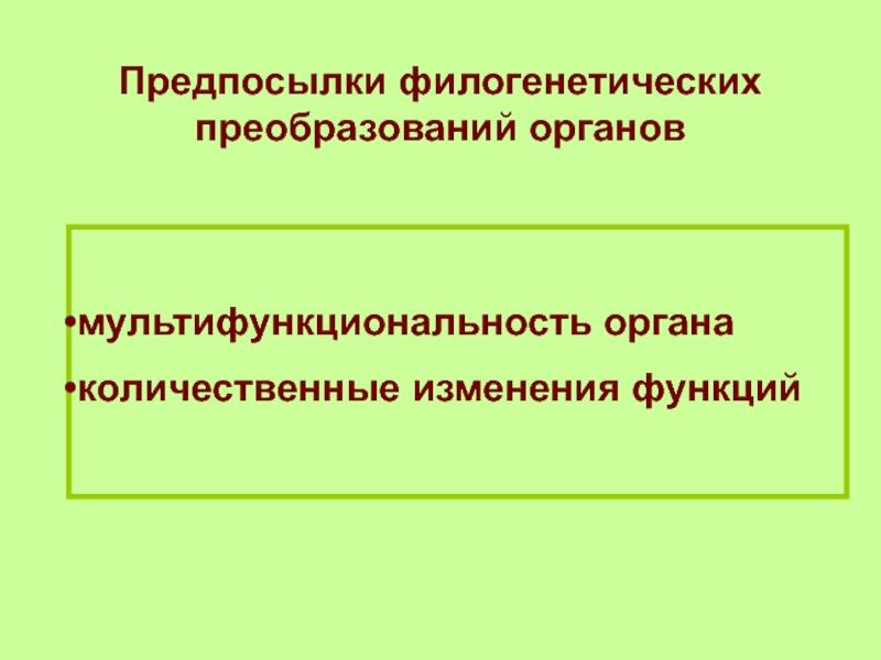 Механизмы соотносительных преобразований органов и систем органов