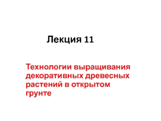 Технологии выращивания декоративных древесных растений в открытом грунте. (Лекция 11)