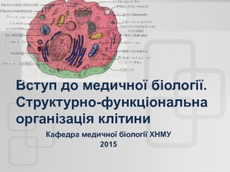 Структурно-функціональна організація клітини