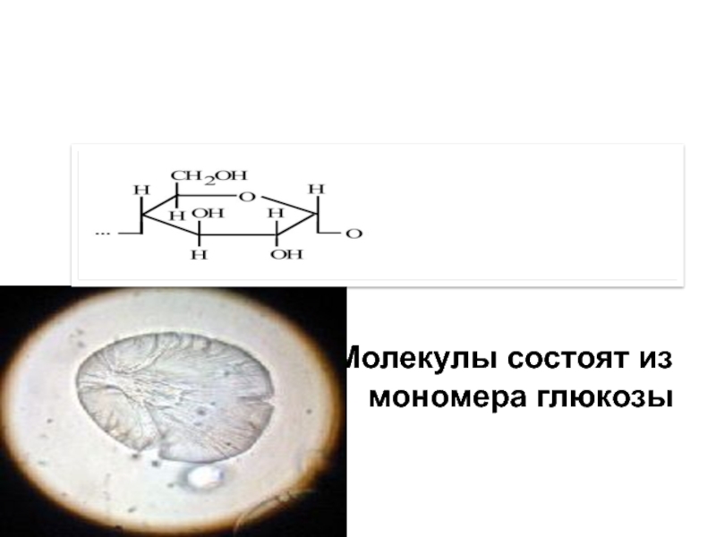 Назовите мономер изображенный на рисунке ответ поясните что обозначено цифрами 1 2 3