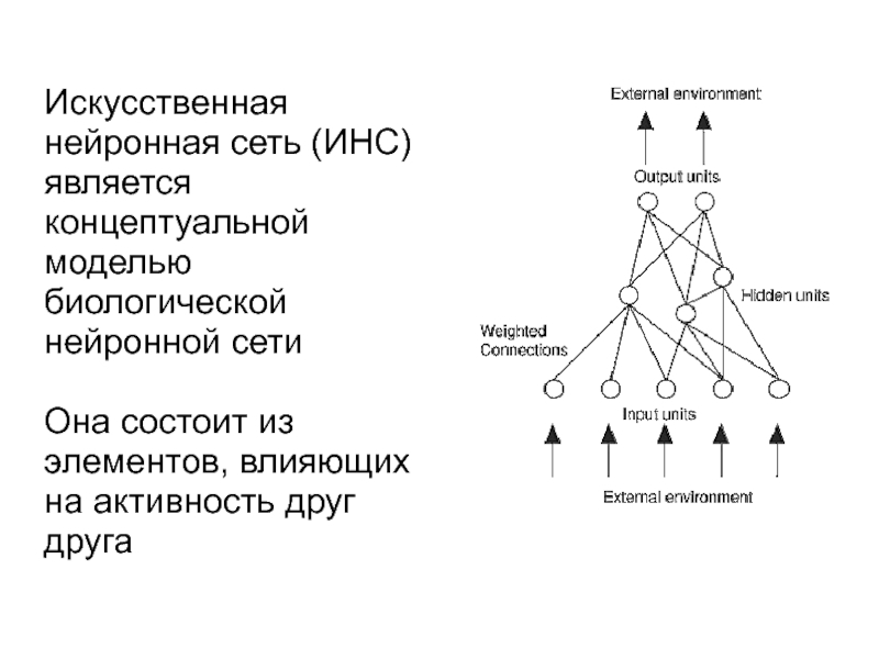 Искусственная нейронная сеть (инс). Модель нейронной сети. Концептуальная модель нейронной сети. Типы искусственных нейронных сетей.