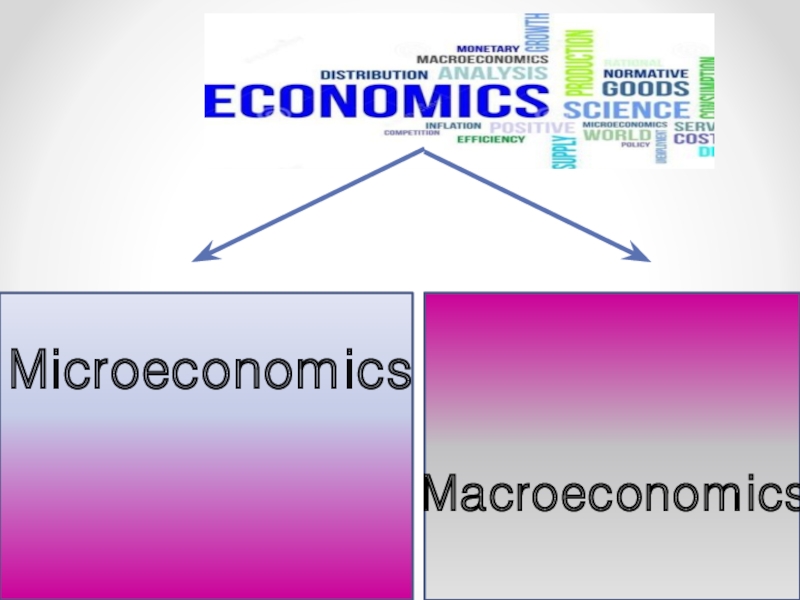 Экономика 10. Macroeconomics картины. Макроэкономист. Полыгалов макроэкономист. The Economics of Science.