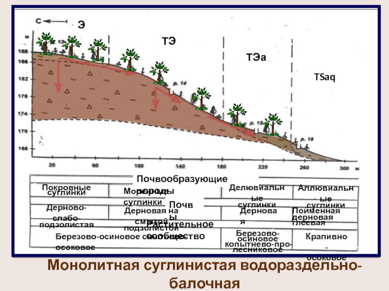 Карта почвообразующих пород