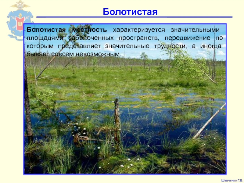 Местность значение. Болотистая местность на карте. Пространственная структура болотистой местности. Знак заболоченная местность. Пространственная структура заболоченной низменности.