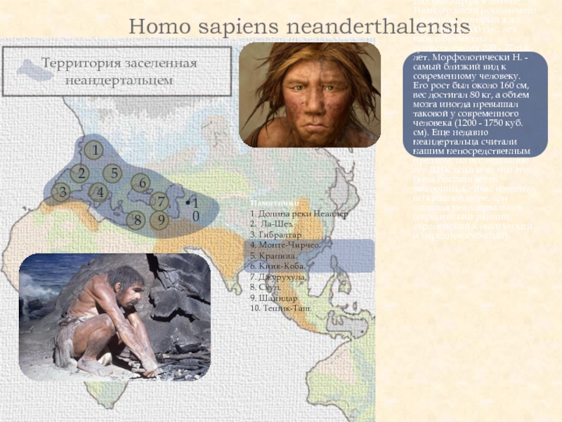 Территория заселенная неандертальцем Homo sapiens neanderthalensis 2 1 3 4 5 6