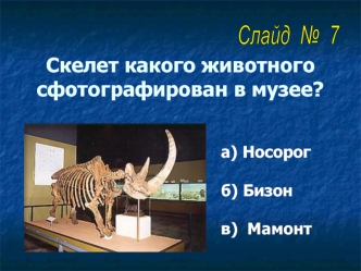 Путешествие в ледниковый период (часть 2)