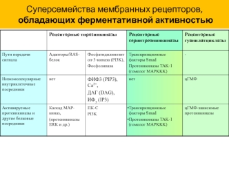 Суперсемейства мембранных рецепторов, обладающих ферментативной активностью