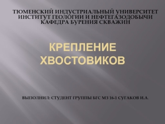 Крепление хвостовиков Сугаков