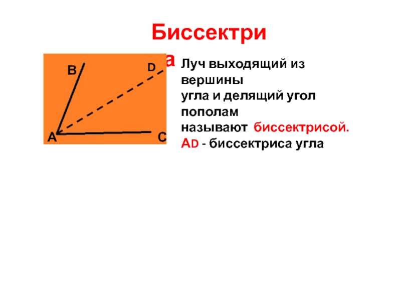 Выходящий луч. Вершина угла. Луч делящий угол пополам. Луч делящий угол пополам называется. Луч который делит угол пополам называют.