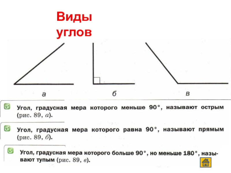 Угол виды углов. Виды углов 3 класс. Виды углов 5 класс. Угол виды углов тест. 50 Разновидности углов.