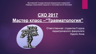 travma_2017_SKhO